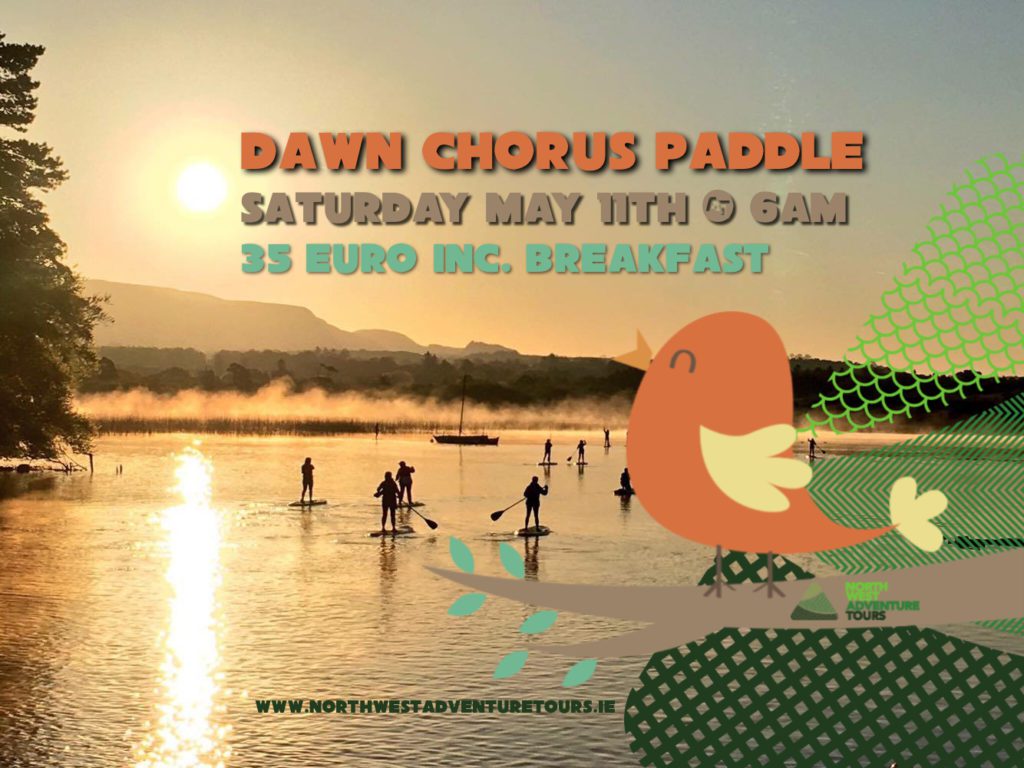 dawn-chorus-sup