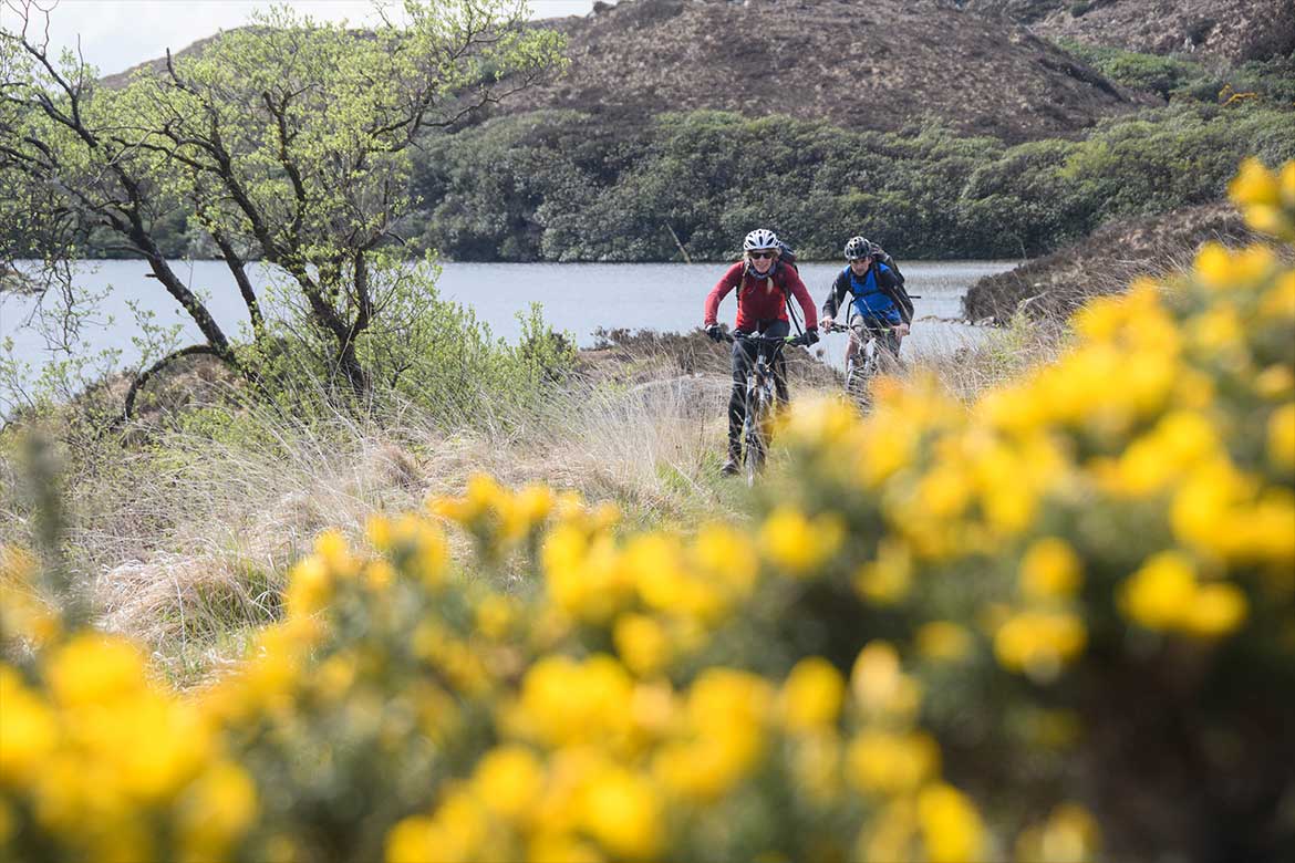 tourists cycling on a bike doing mountain biking