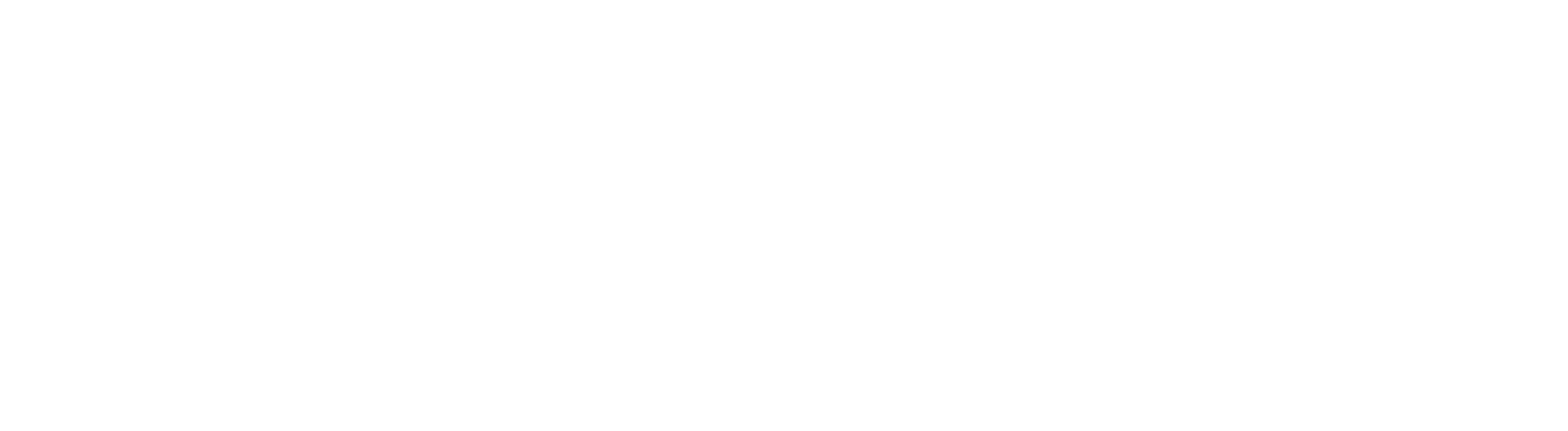 northwest adventure tours logo in all white